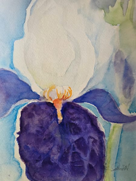 Lone Iris Splender Art | Pam Holmquist Studio