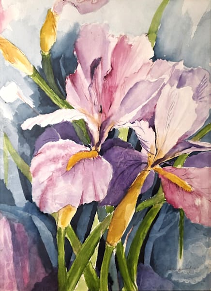 Iris Pink Splender Art | Pam Holmquist Studio