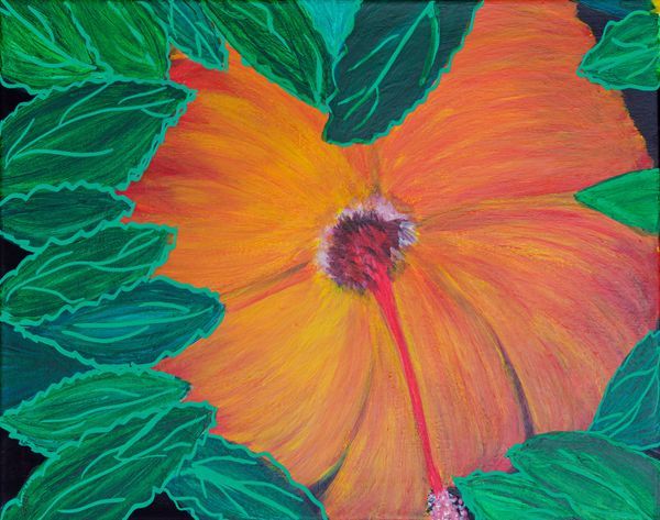 Nature, Wildlife & Botanicals
