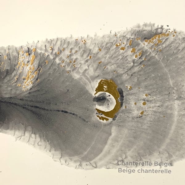 Chanterelle Beige3 Art | Mel Coleman Studio