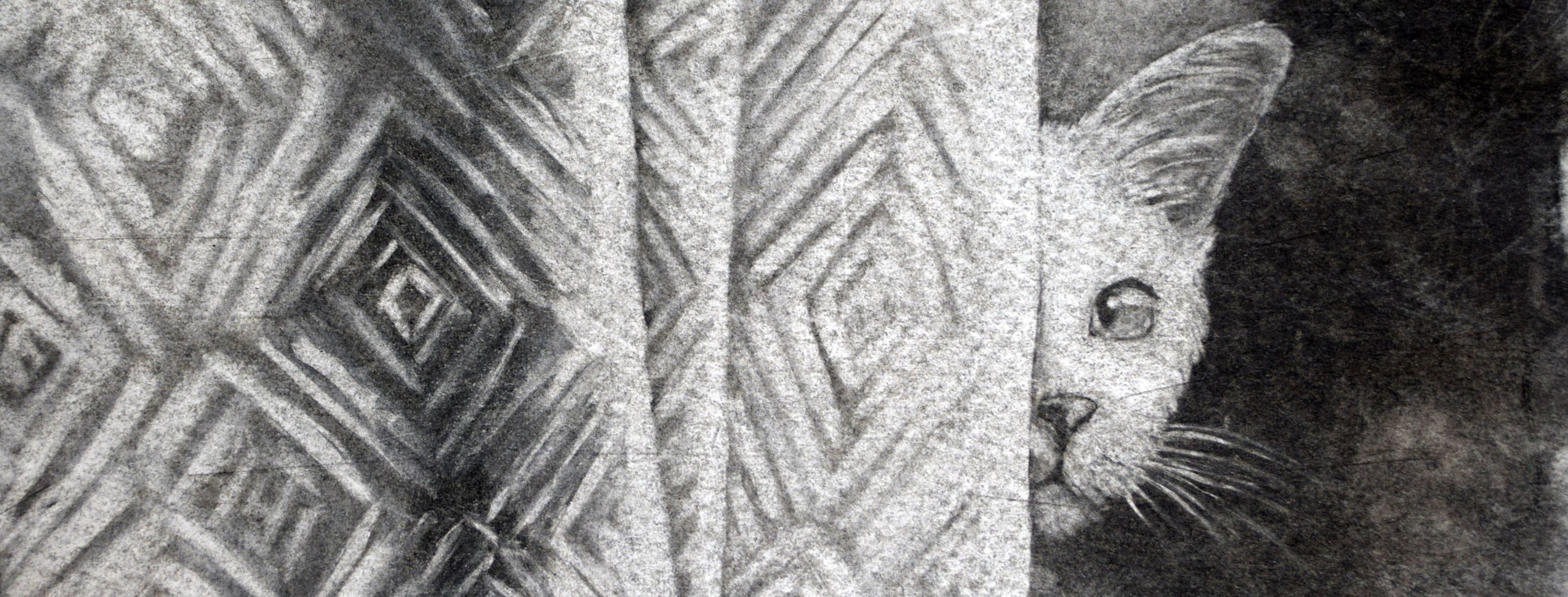 
        <div class='title'>
          Curtains
        </div>
       