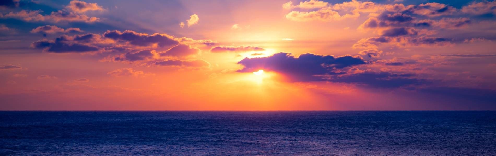 
        <div class='title'>
          1
        </div>
       