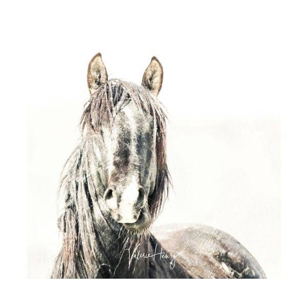 "Are You Following Me" Limited Edition Photography Art | Koru Photo Designs