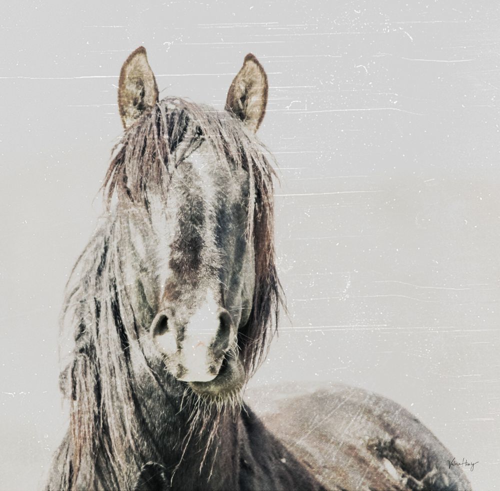 Are You Following Me Photography Art | Koru Photo Designs