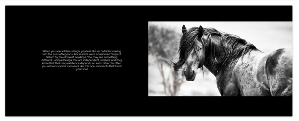 Coffee Table Book   Limited Edition | Koru Photo Designs