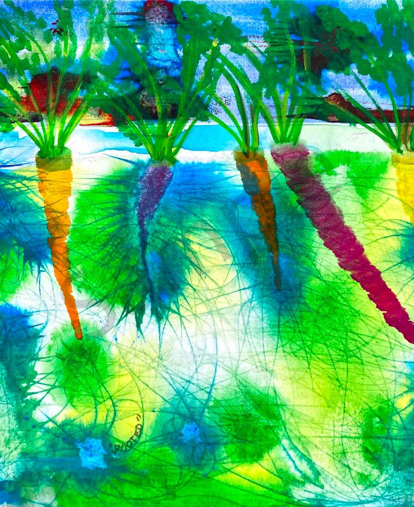 Rooted Carrots by Marie Stephens