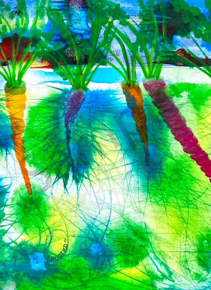 Rooted Carrots by Marie Stephens