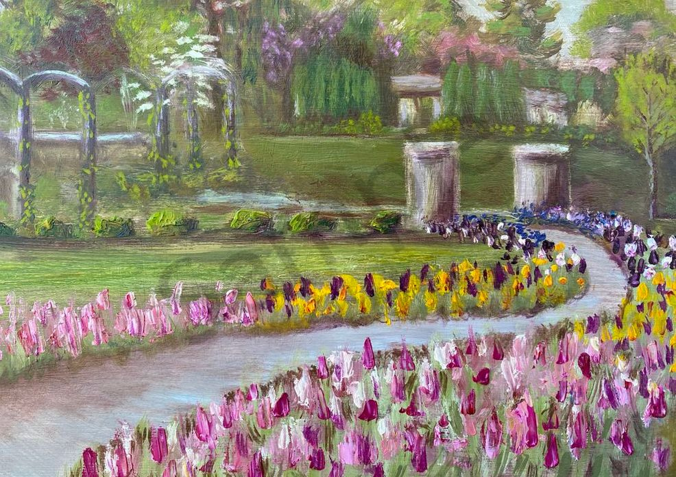 The Tulips at Vander Veer Park, 5x7 Greeting Cards