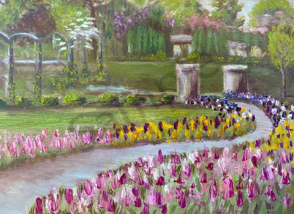 The Tulips at Vander Veer Park, 5x7 Greeting Cards