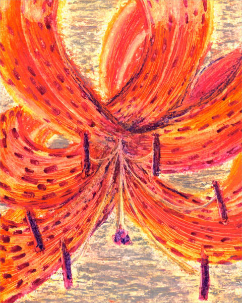 Shop Tiger Lily Prints, an Old Fashioned Cut Flower Favorite