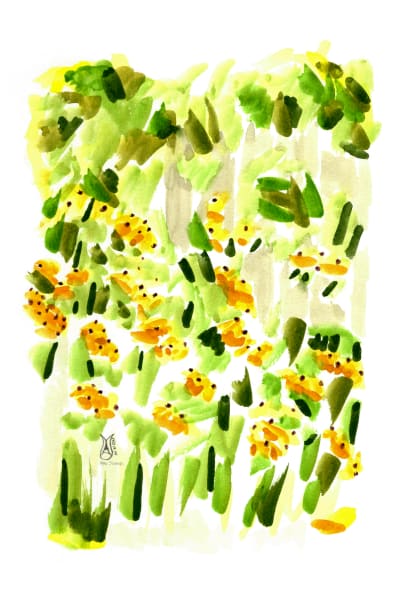 Black Eyed Susan Flowers, Watercolor Wall Art Print