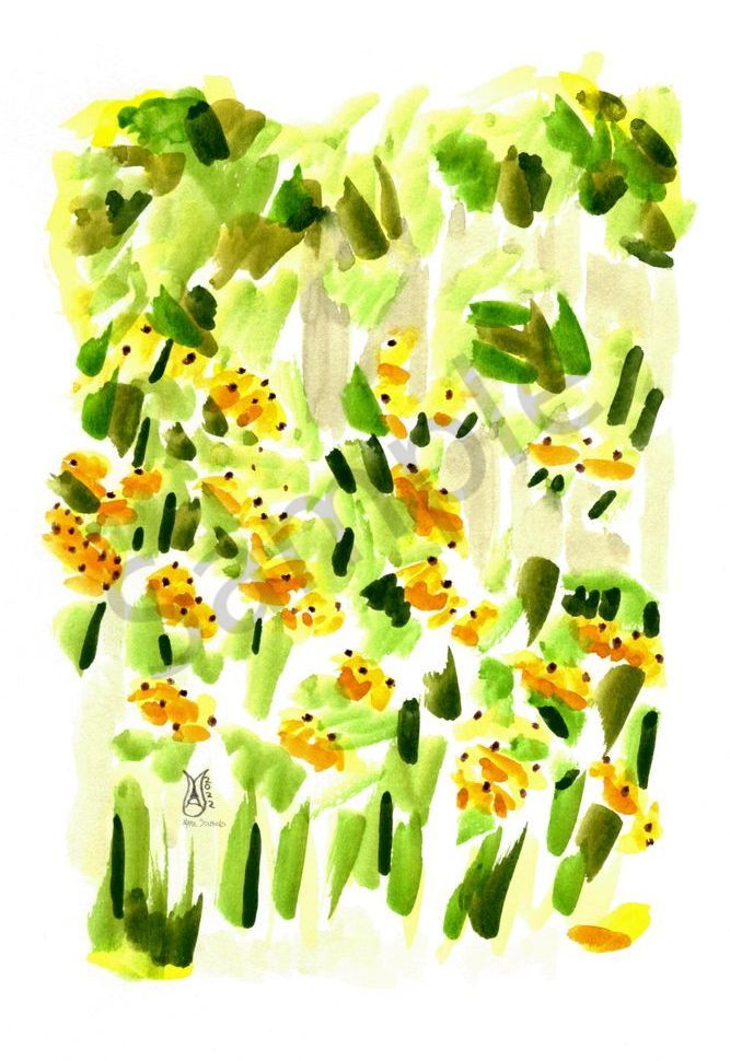 Black Eyed Susans in the Artist Garden Watercolor 2022 Marie Stephens Art