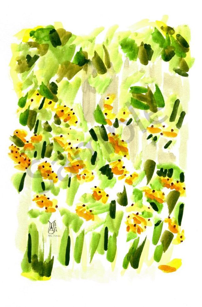 Black Eyed Susans in the Artist Garden Watercolor 2022 Marie Stephens Art