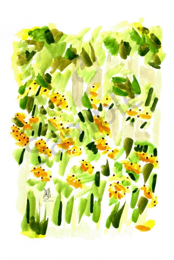 Black Eyed Susans in the Artist Garden Watercolor 2022 Marie Stephens Art