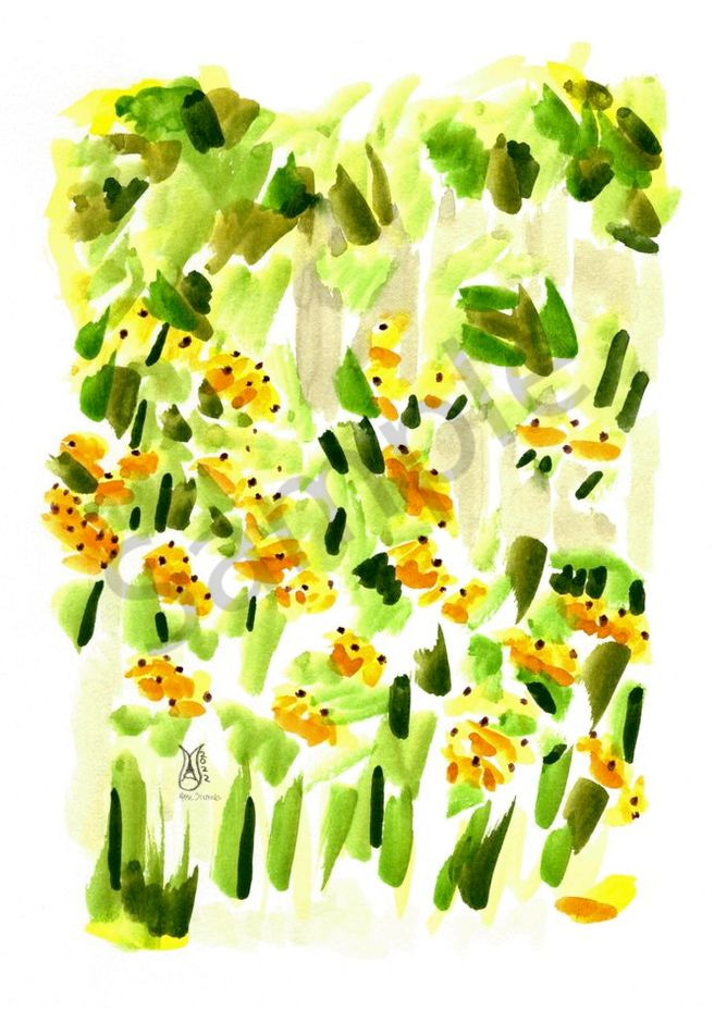 Black Eyed Susans in the Artist Garden Watercolor 2022 Marie Stephens Art