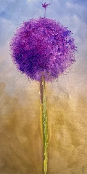 Stand Out from the Crowd is the Message from this Allium 