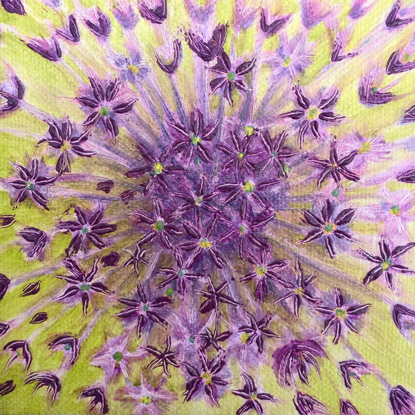 Order Allium Art,  Firework,  by Iowa Artist Marie Stephens