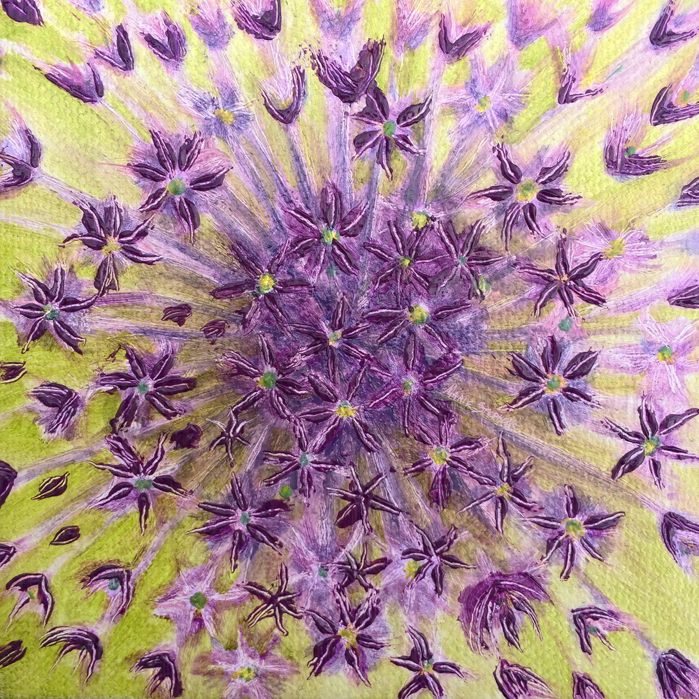 Order Allium Art,  Firework,  by Iowa Artist Marie Stephens