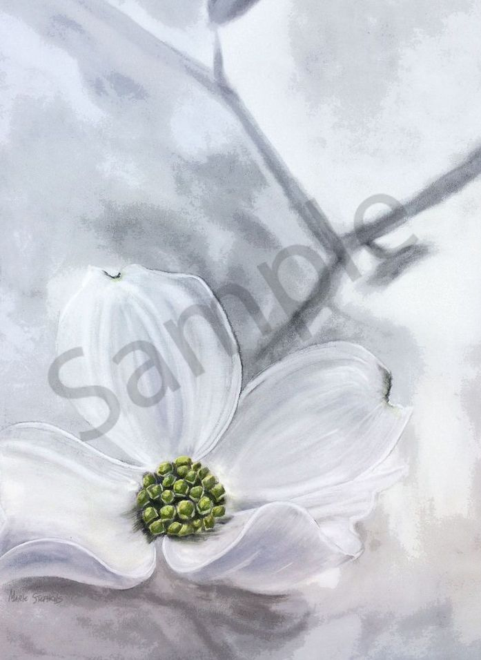Flowering Dogwood Tree Art | Marie Stephens Art