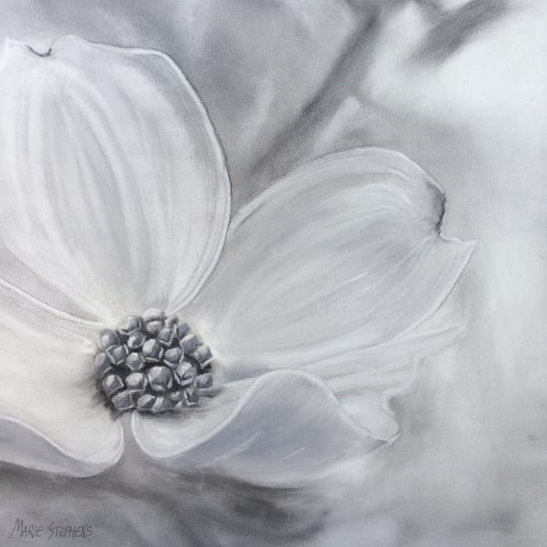 Dogwood Flower Art by Marie Stephens Art