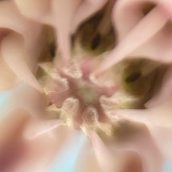 Img 4113 Art | Marie Stephens Art