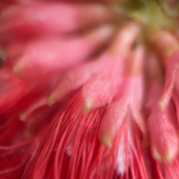 Img 1671 Art | Marie Stephens Art