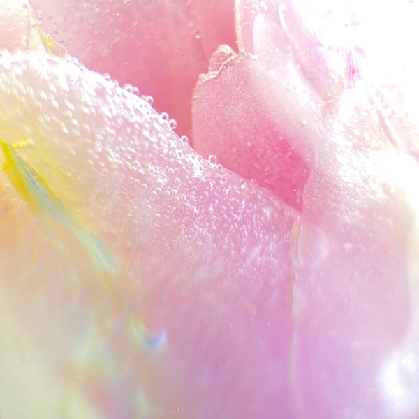 Img 1477 Art | Marie Stephens Art