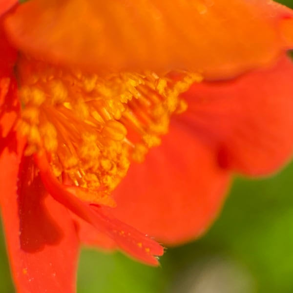 Img 2351 Art | Marie Stephens Art