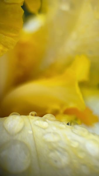 Img 2757 Art | Marie Stephens Art