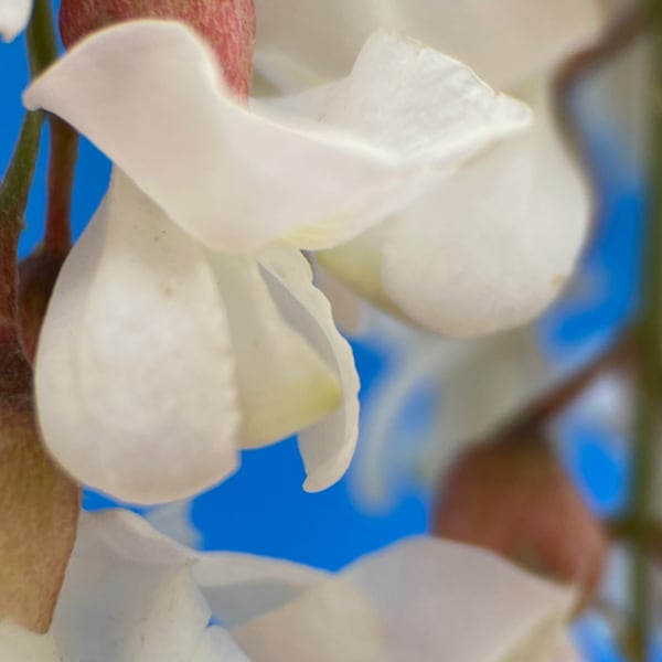 Img 2746 Art | Marie Stephens Art