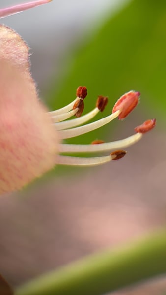 Img 2795 Art | Marie Stephens Art