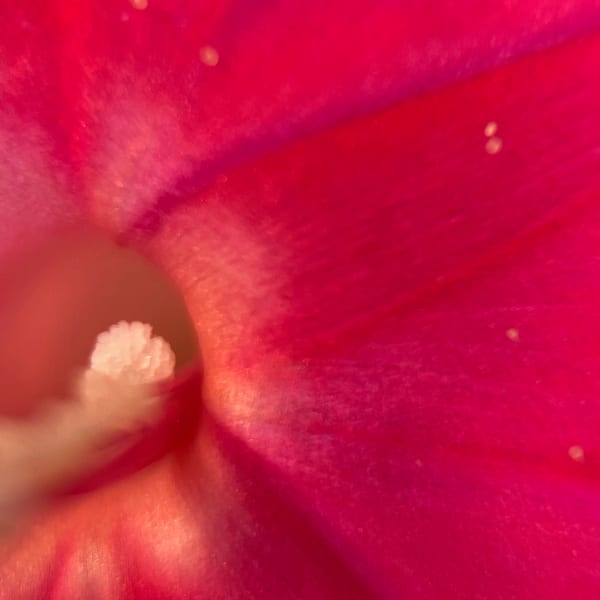 Img 2811 Art | Marie Stephens Art