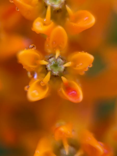 Img 3613 Art | Marie Stephens Art