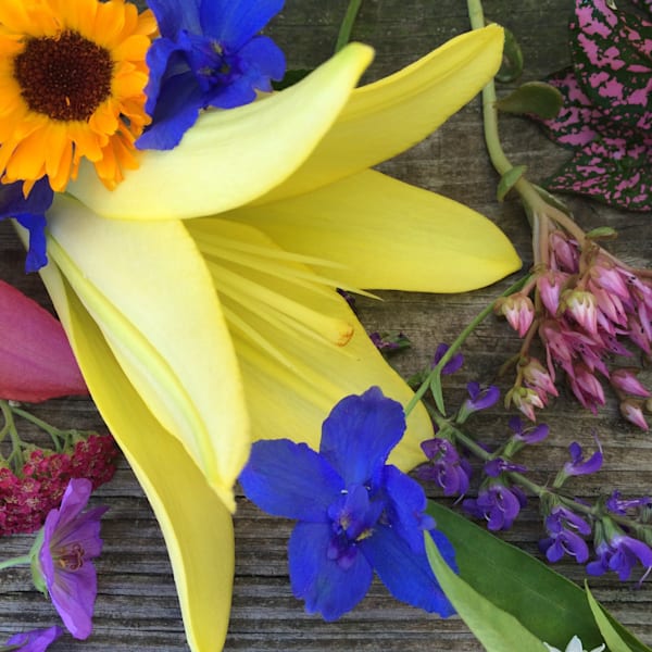 Img 3925 Art | Marie Stephens Art