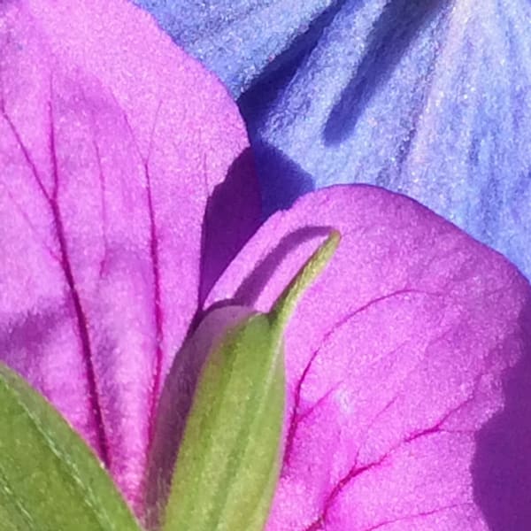 Img 3882.Jpg Art | Marie Stephens Art