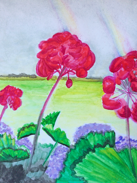 Red Geraniums overlooking a green pasture fine art prints