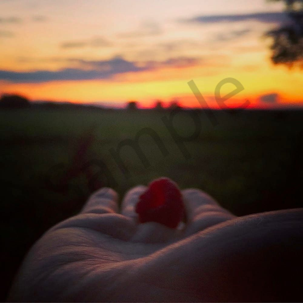 Have you ever looked into the center of a freshly picked raspberry when the sun's rays are shining through it at sunset?