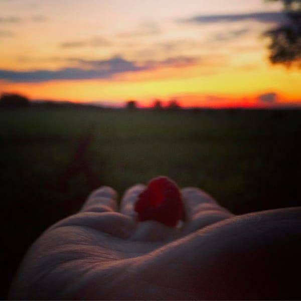 Have you ever looked into the center of a freshly picked raspberry when the sun's rays are shining through it at sunset?