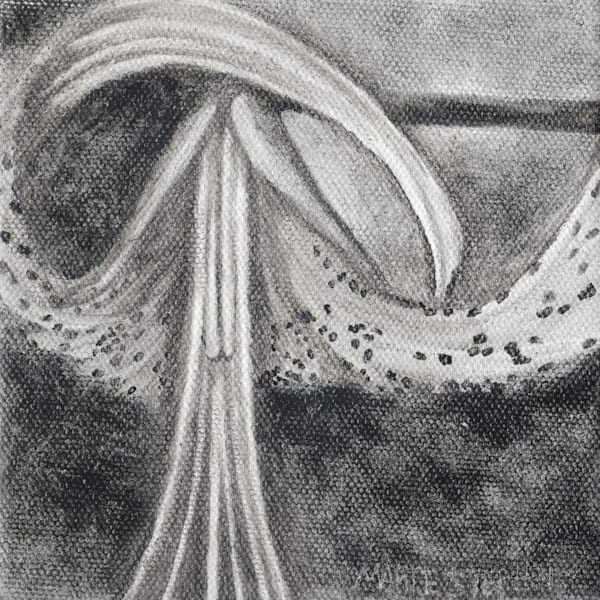 Tiger Lily Art | Marie Stephens Art