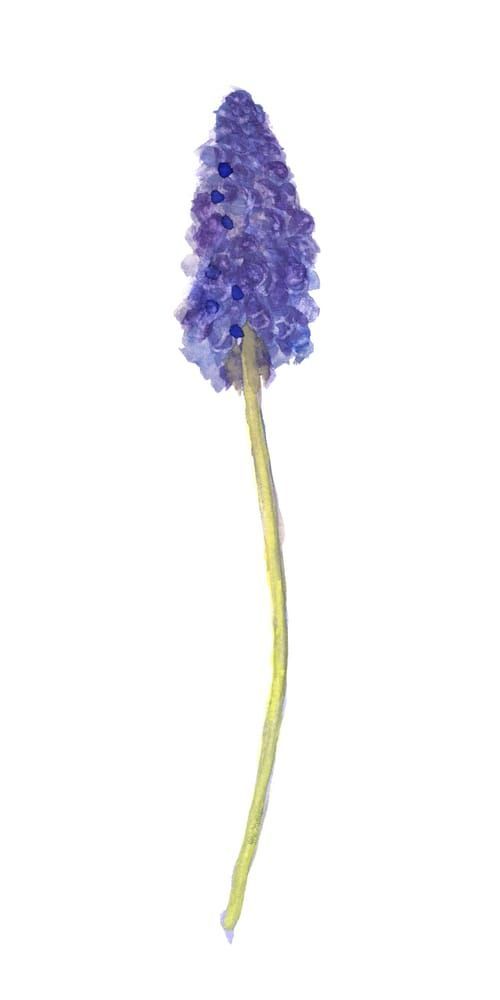 [Calendar] Colorful Flowers and Bouquets