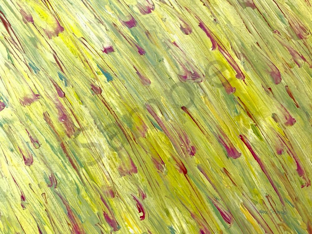 Field of Tulips Abstract Canvas Wall Art Decor by Marie Stephens Art