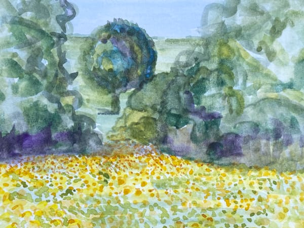 field of sunflowers by Ringgold County Wildlife Area on delphos road ©mariestephensartIMG_0520