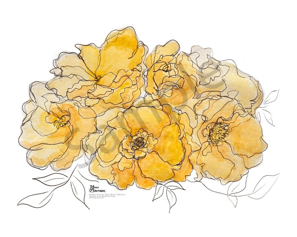 golden unicorn buck rose watercolor and ink for 8x10 © Marie Stephens Art