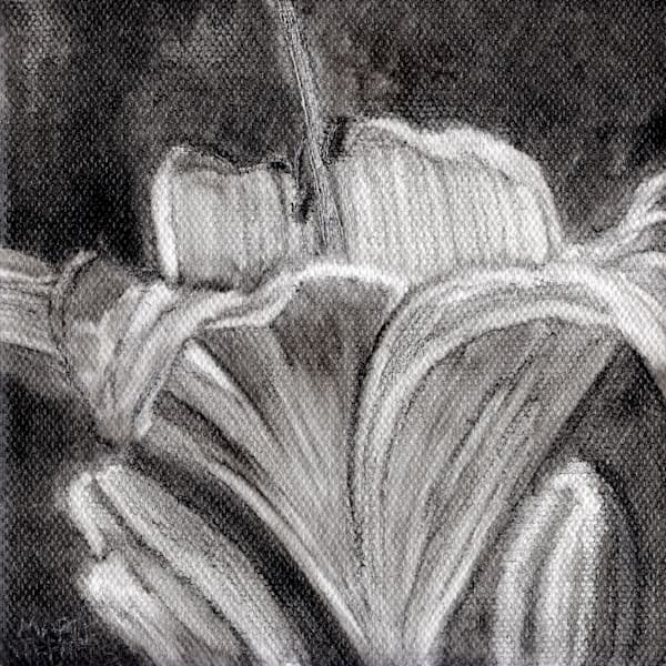 Day Lily Flower Oil Painting in Black and White