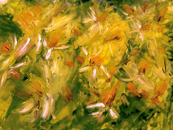 Daffodil Study With Palette Knife En Plein Air Art | Marie Stephens Art