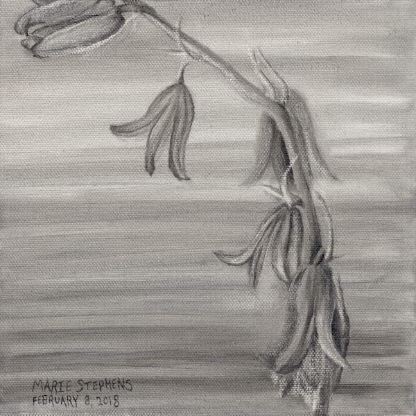 Indian Paintbrush Sepia 3000x3000 Pixels Oil Marie Stephens Art Art | Marie Stephens Art