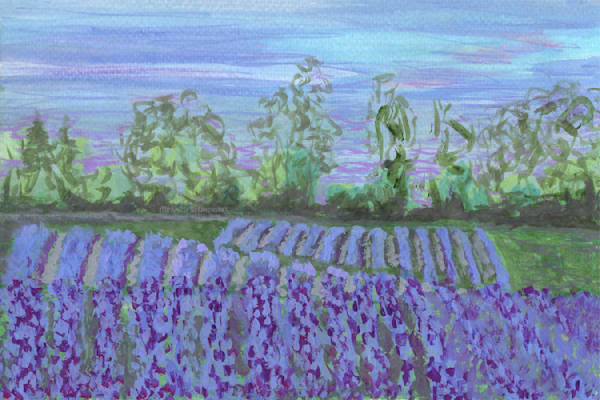 Painting of Fields of Lavender Wall Art Print