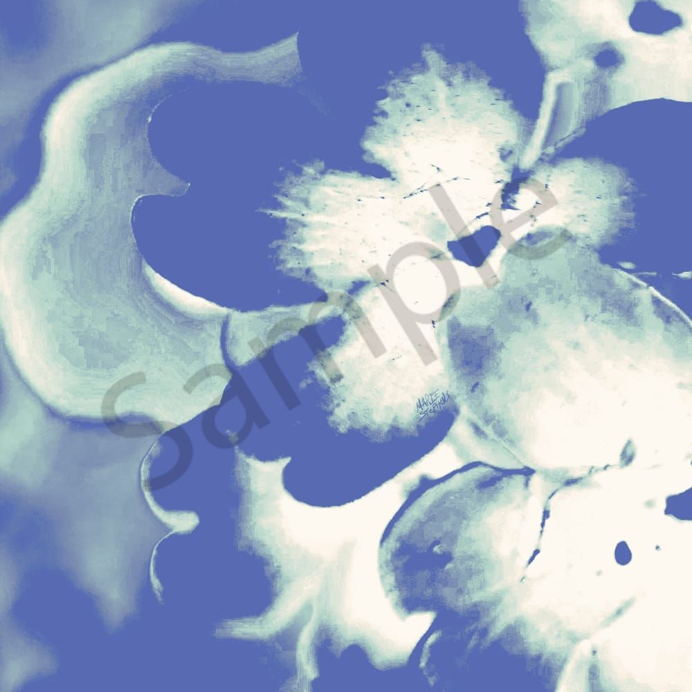 Shop Floral Cyanotype Wall Art Prints