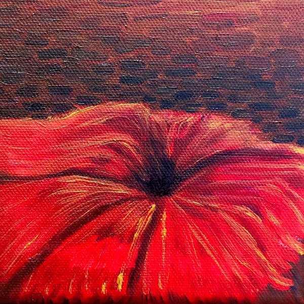 Do You Believe In Second Chances Fine Art Print Art | Marie Stephens Art