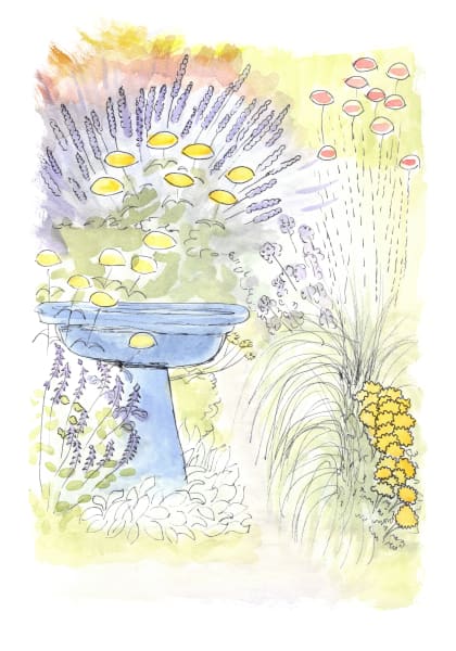 Do You Love Happy Yellow Zinnia Flowers?